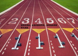 悟空体育-前教练揭秘，皮奥的勤奋传奇，深夜加练铸就非凡成就