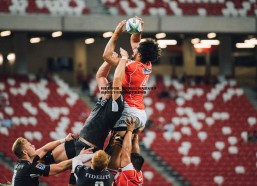 悟空体育-科莫重磅引援，罗马诺以2250万欧元加浮动条款签下贝蒂斯边锋罗德里格斯